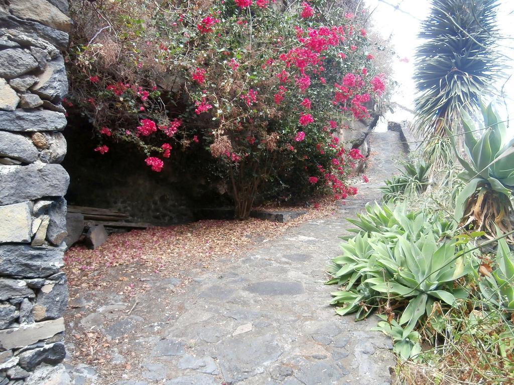 Molino Remanente Daire Santa Cruz de la Palma  Oda fotoğraf
